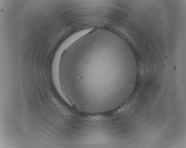 X0000075900645200610062119