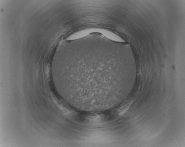 X0000075900646200610062119