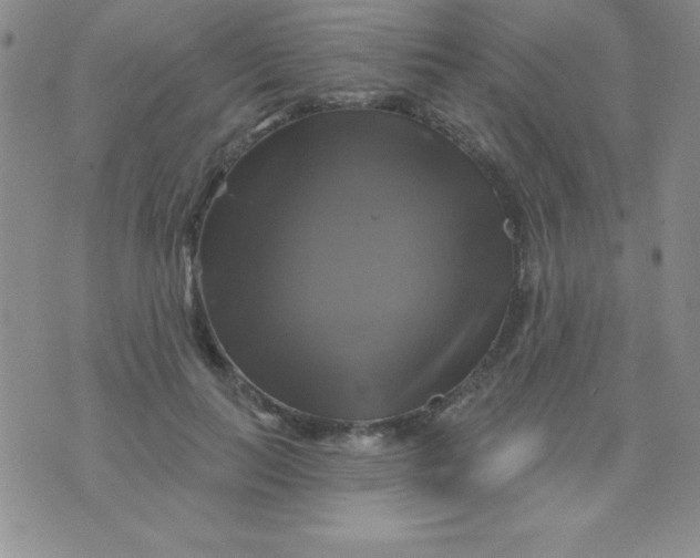 X0000075900647200610062119