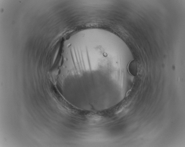 X0000075900648200610062119