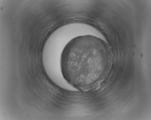 X0000075900649200610062119