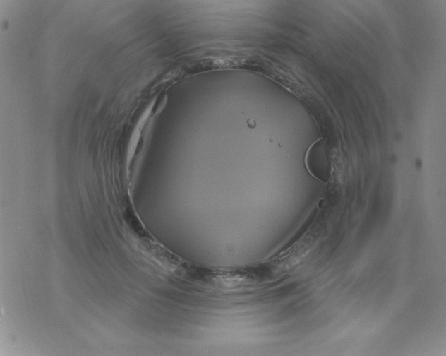 X0000075900650200610062119