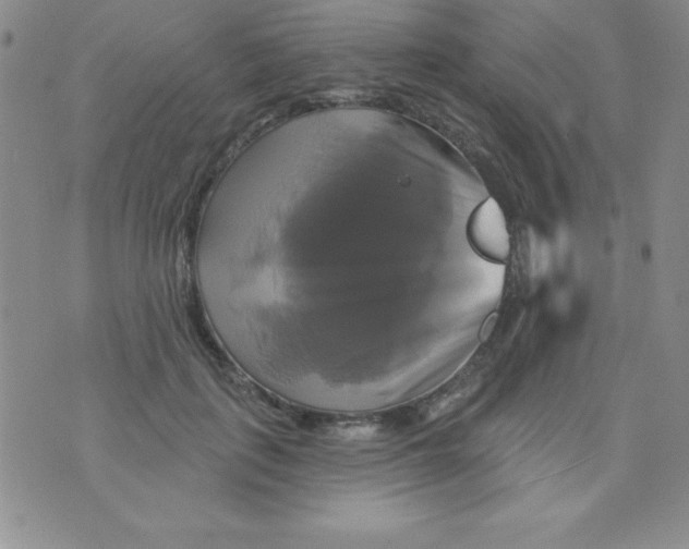 X0000075900651200610062119