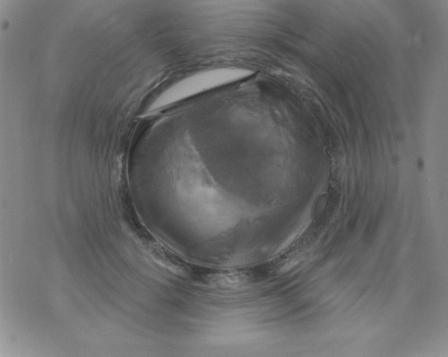 X0000075900652200610062119