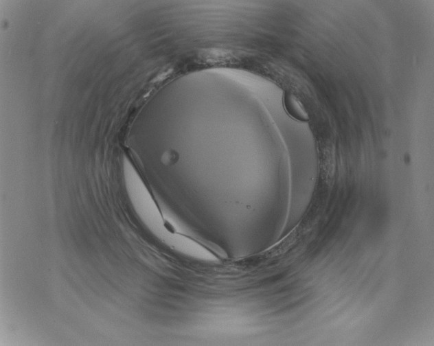 X0000075900653200610062119