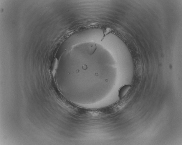 X0000075900654200610062119