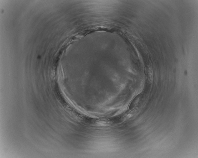 X0000075900657200610062119