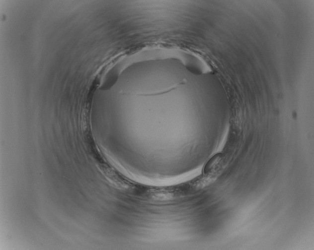 X0000075900658200610062119