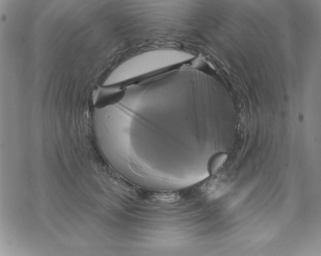 X0000075900659200610062119