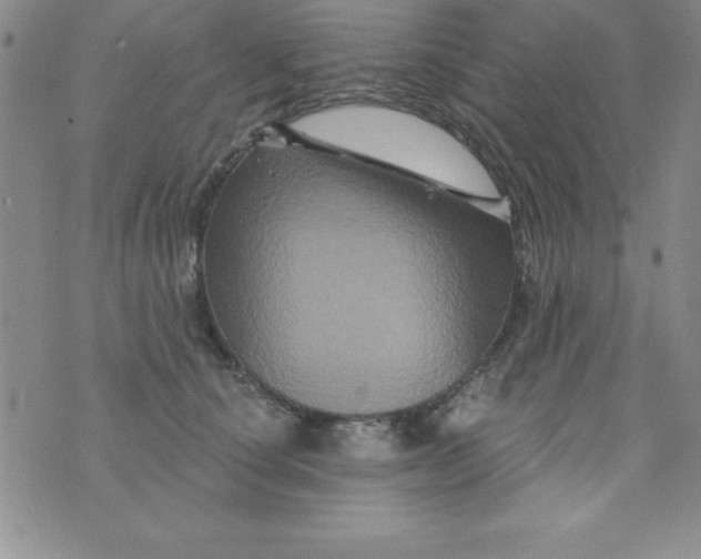 X0000075900660200610062119