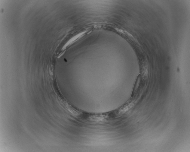 X0000075900661200610062119