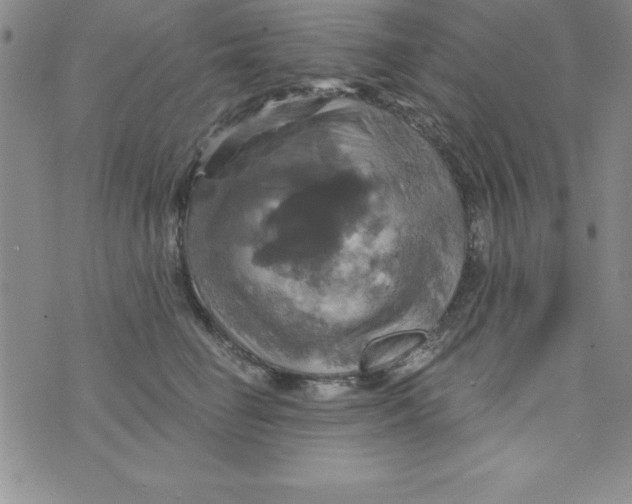 X0000075900662200610062119