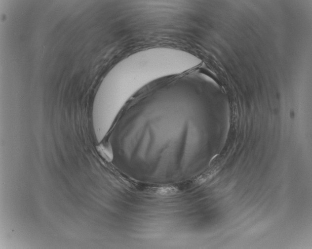 X0000075900663200610062119