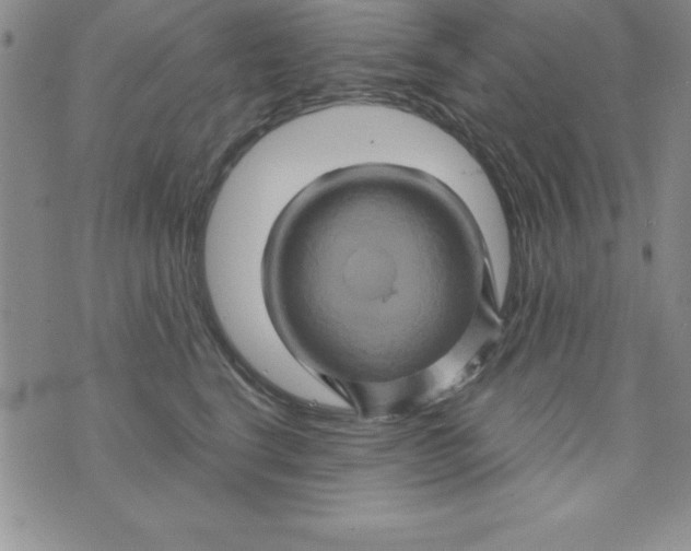 X0000075900664200610062119