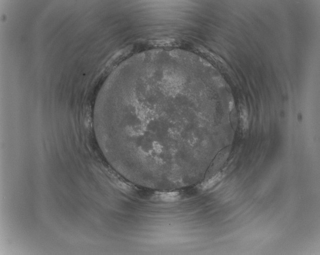 X0000075900665200610062119