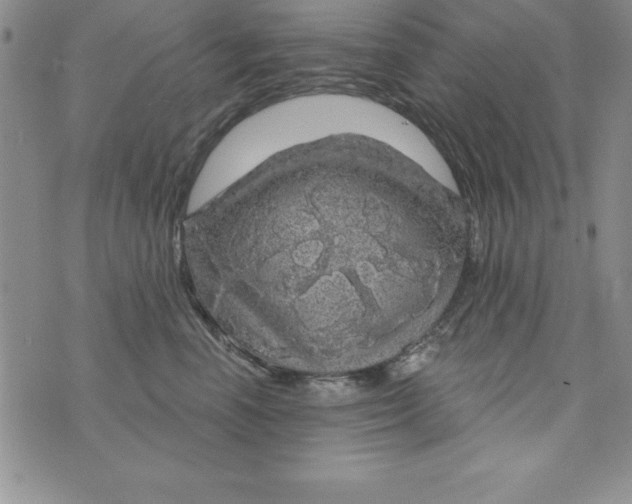 X0000075900666200610062119