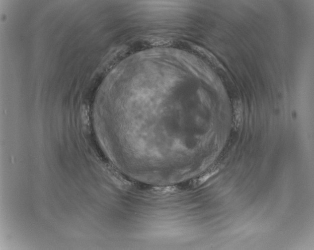 X0000075900667200610062119