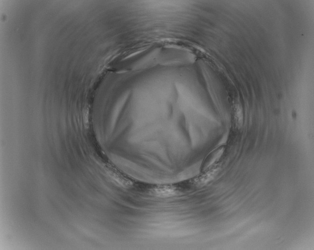 X0000075900668200610062119