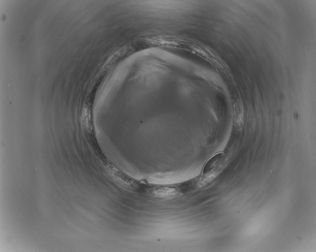 X0000075900669200610062119