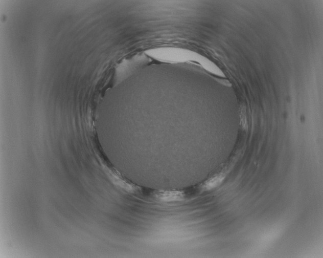 X0000075900670200610062119