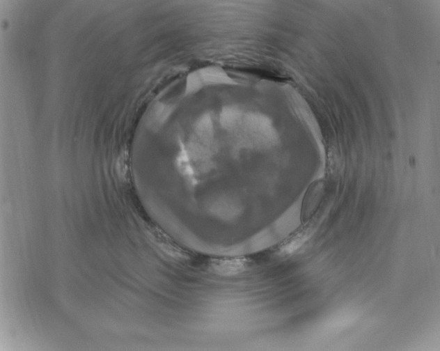 X0000075900671200610062119