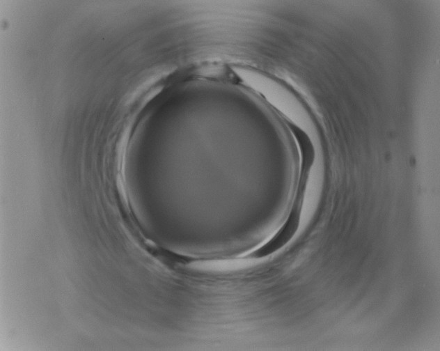 X0000075900673200610062118