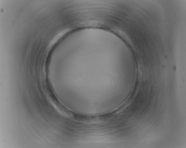 X0000075900674200610062118