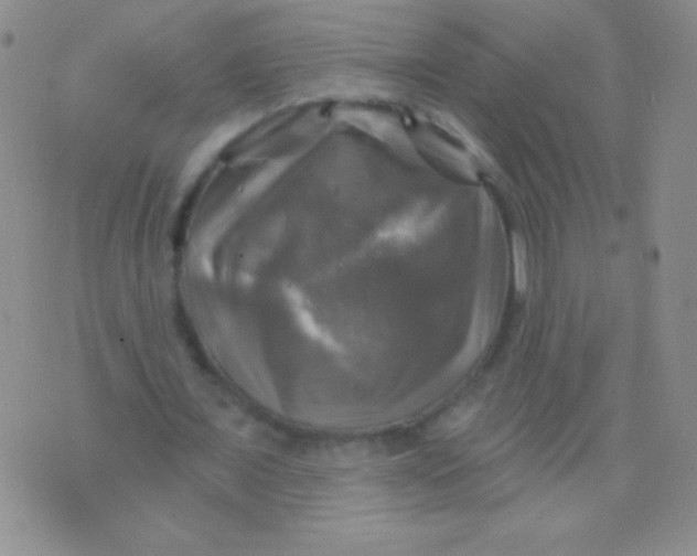 X0000075900675200610062118