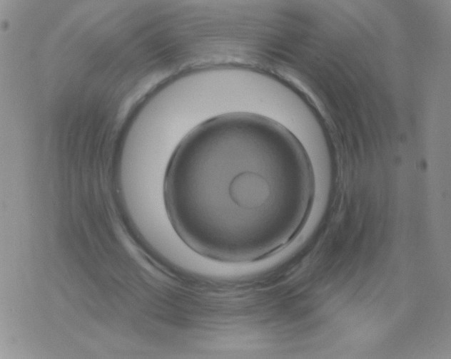 X0000075900677200610062118