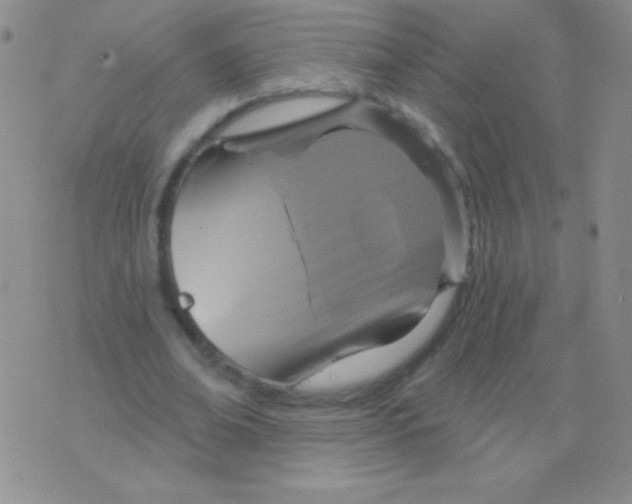 X0000075900678200610062118