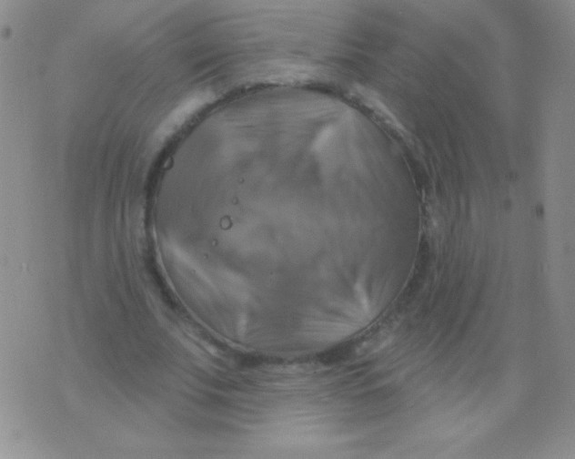 X0000075900679200610062118