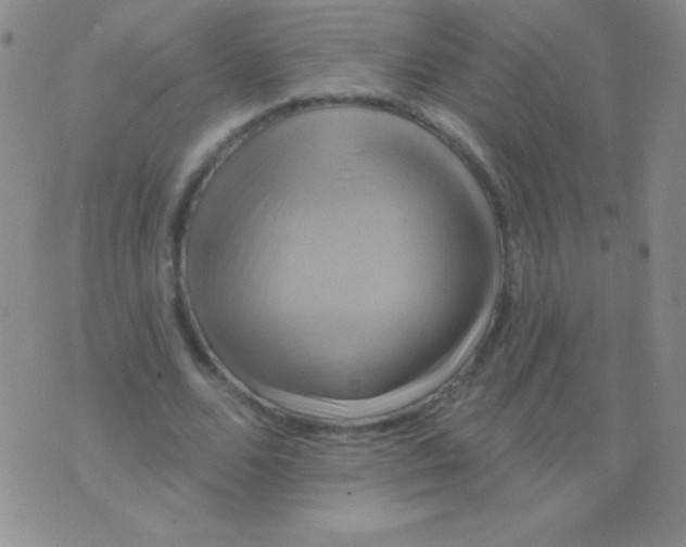 X0000075900680200610062118