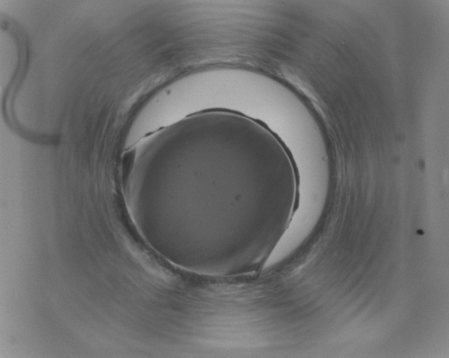 X0000075900681200610062118