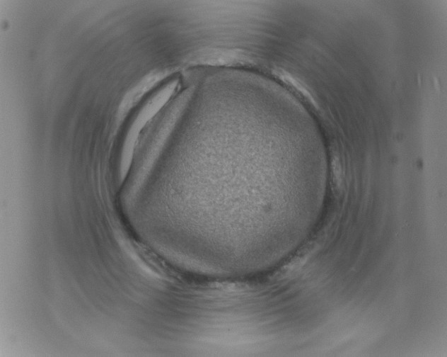 X0000075900682200610062118