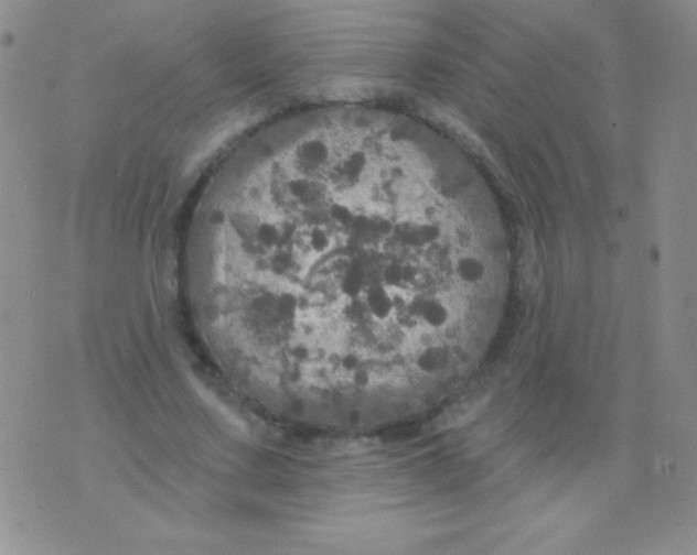 X0000075900683200610062118