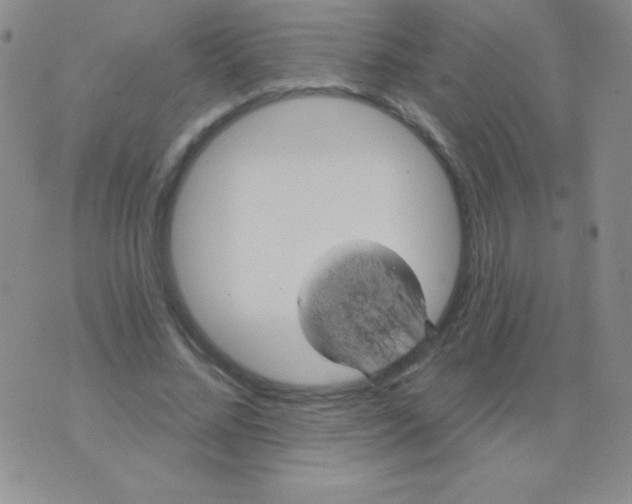 X0000075900684200610062118