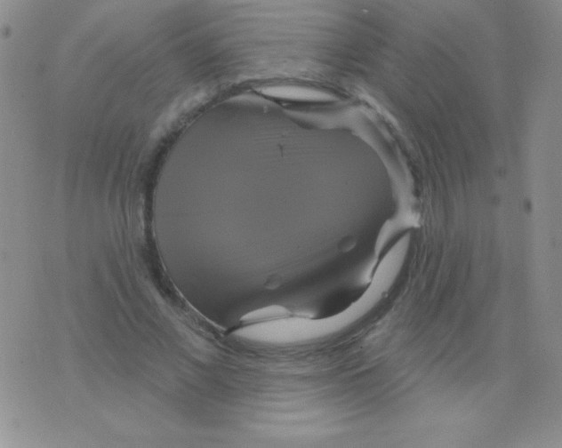 X0000075900685200610062118