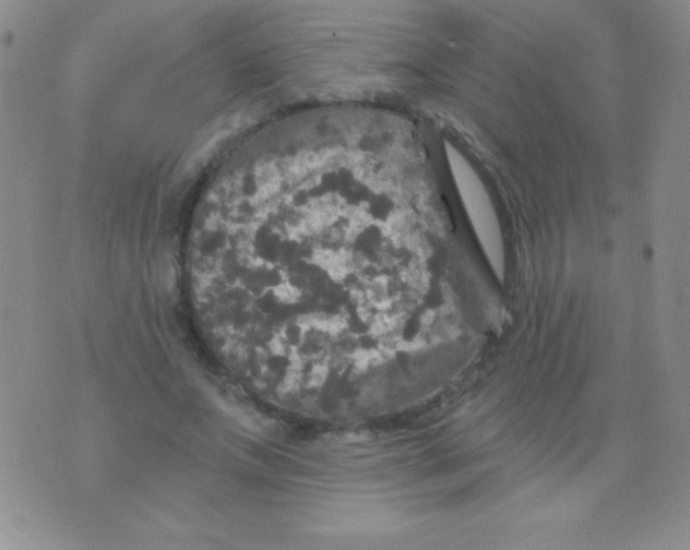 X0000075900687200610062118