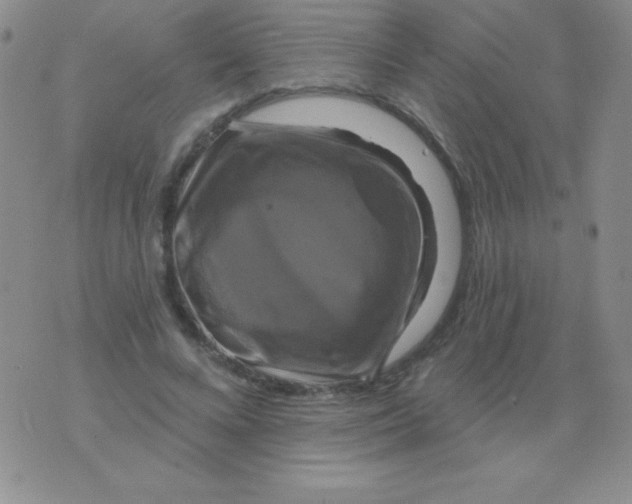 X0000075900688200610062118