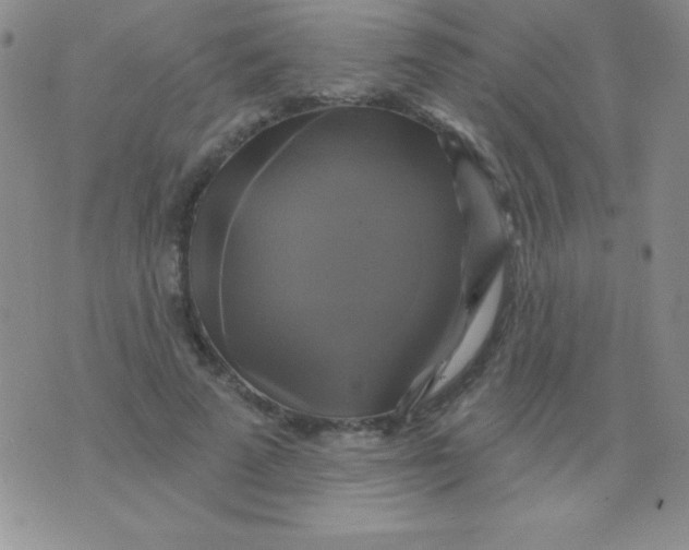 X0000075900689200610062118