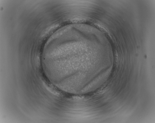 X0000075900690200610062118