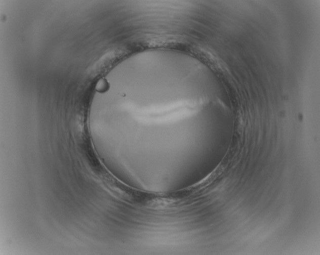 X0000075900691200610062118