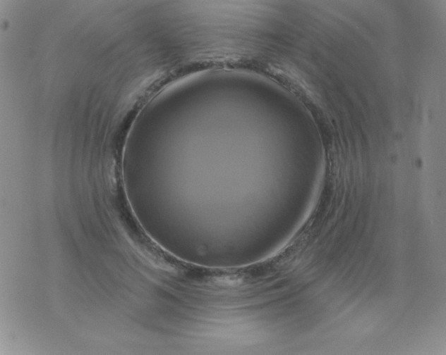 X0000075900692200610062118