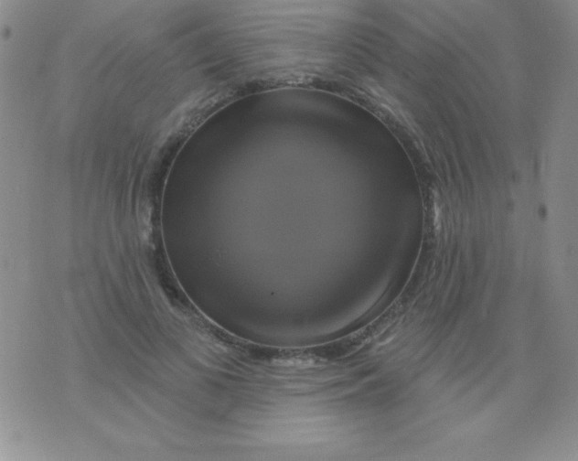 X0000075900693200610062118