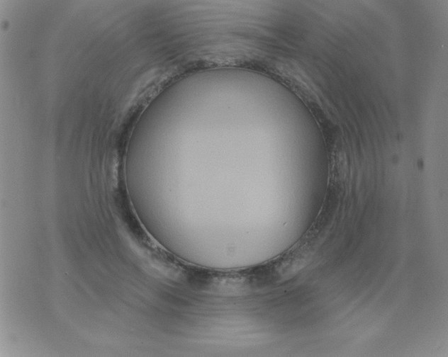 X0000075900694200610062118