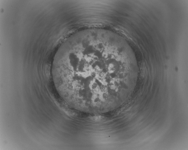 X0000075900695200610062118