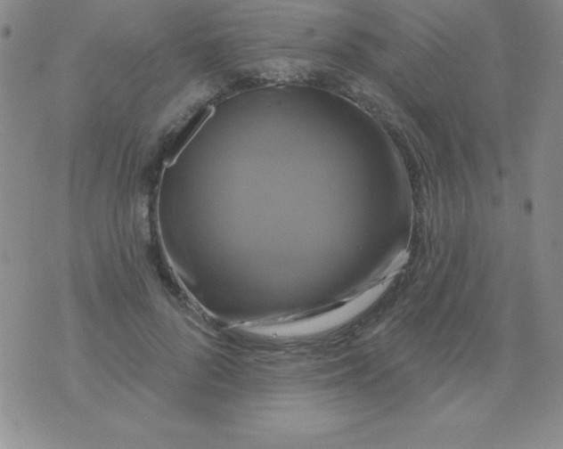 X0000075900696200610062118