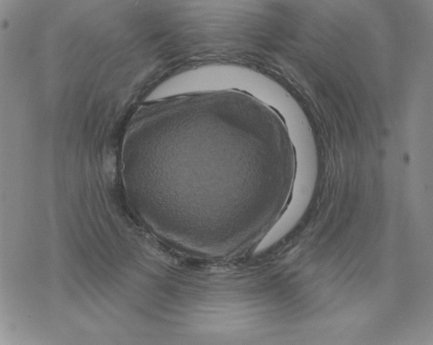 X0000075900697200610062118