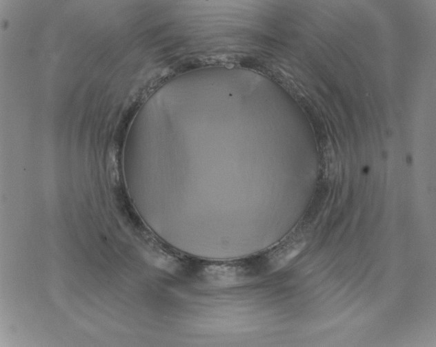 X0000075900699200610062118