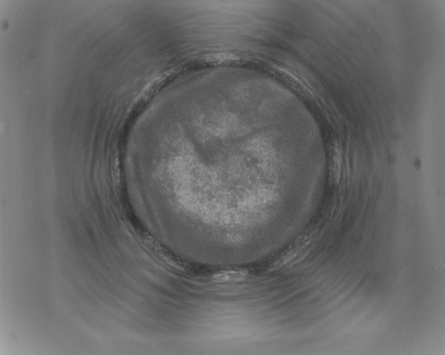 X0000075900700200610062118